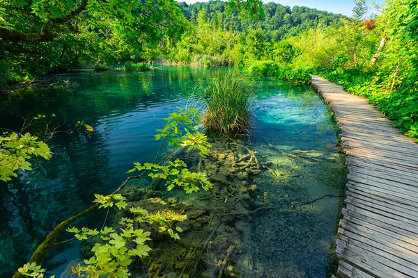 Cachoeiras Bonitas Plitvice Lakes National Park Croácia — Fotografia de Stock