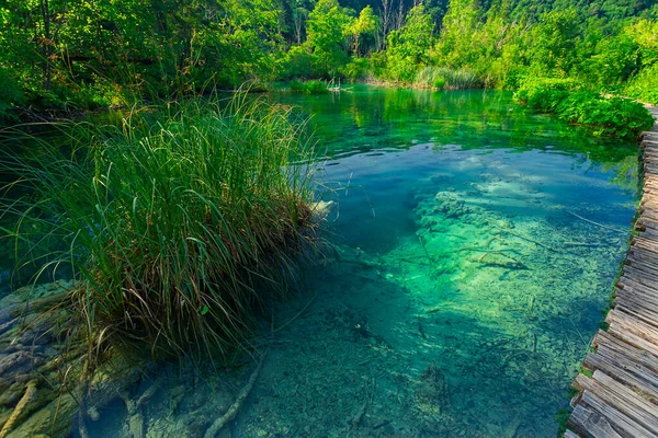 Красивая Сцена Национальном Парке Плитвицкие Озера Хорватия — стоковое фото