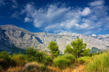 Manzara. Hırvatistan. Baska.