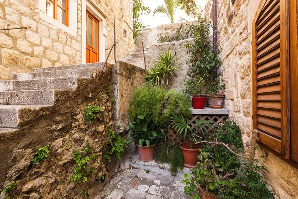 Street in Dubrovnik. Croatia. — Stock Photo, Image