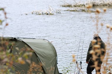 Balıkçı sazan balıkçısı vahşi doğada büyük balık arıyor.