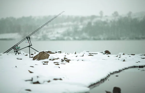 Gölde balık avlamak için olta kamışı kullanırız.