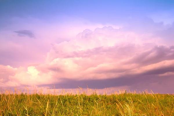 Summer landscape — Stock Photo, Image