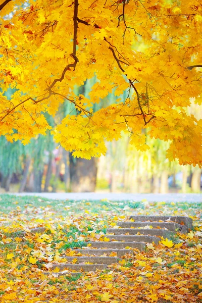 Paesaggio d'autunno — Foto Stock