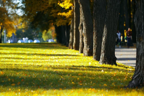 Paesaggio d'autunno — Foto Stock