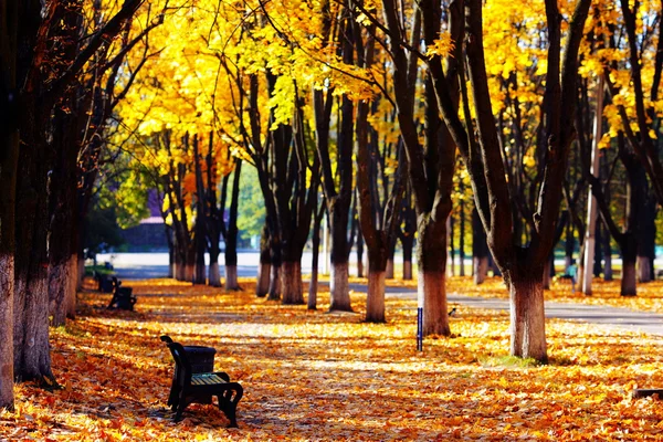 Herbstliche Landschaft — Stockfoto