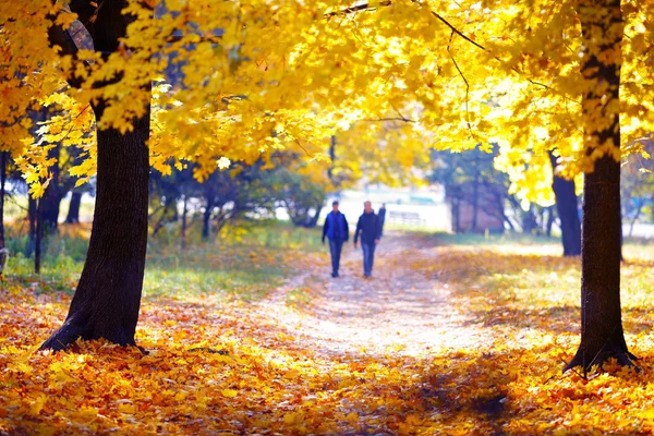 People walking in the autumn park — Stock Photo, Image