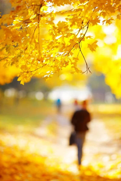 People walking in the autumn park