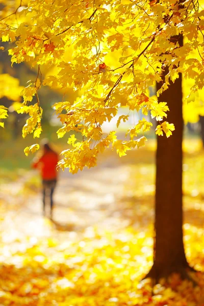 Ludzie chodzą w parku jesień — Zdjęcie stockowe