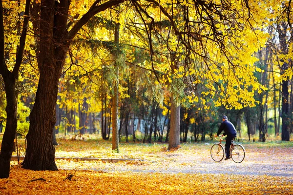 Paesaggio d'autunno — Foto Stock