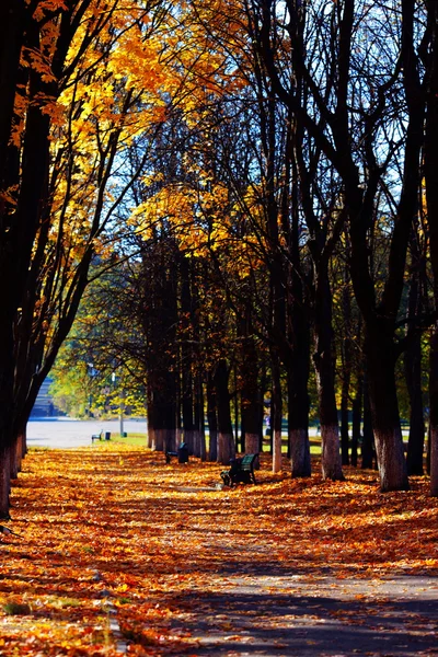 Herbstliche Landschaft — Stockfoto