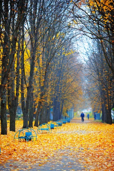 Autumn landscape — Stock Photo, Image