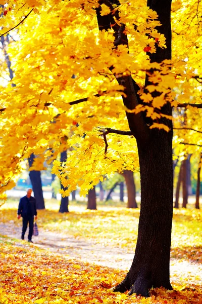 Pessoas andando no parque de outono — Fotografia de Stock