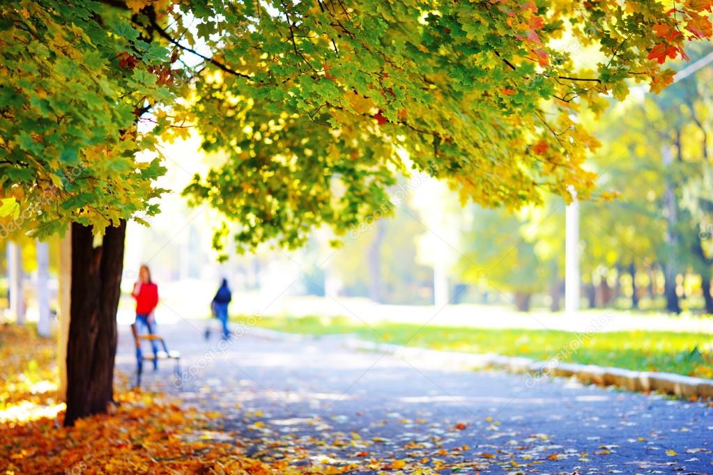 Autumn landscape