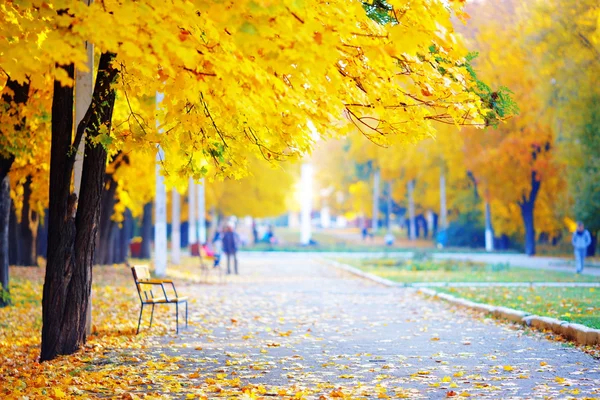 Golden park sonbaharda