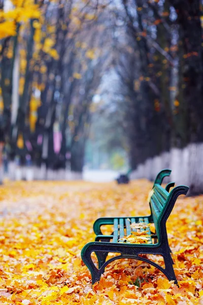 Autunno d'oro nel parco — Foto Stock