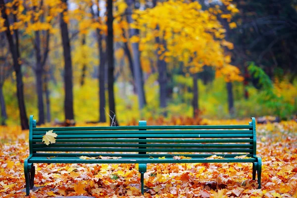 Autunno d'oro nel parco — Foto Stock