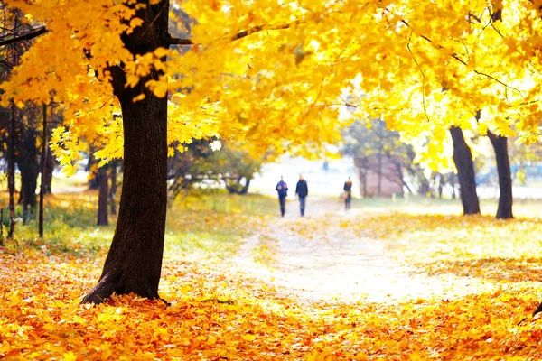 Gouden herfst in park — Stockfoto