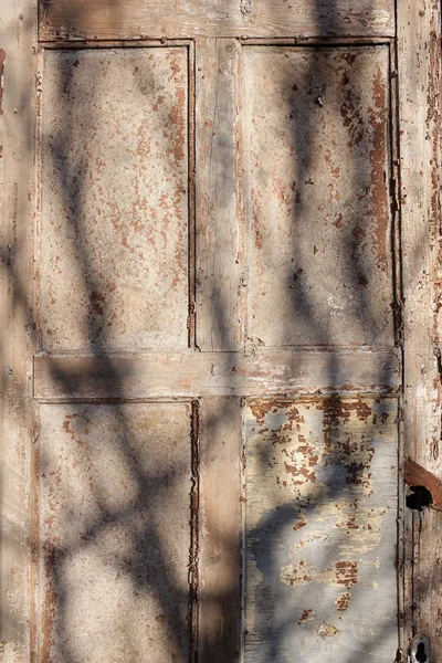 Natürlicher Holz-Hintergrund — Stockfoto