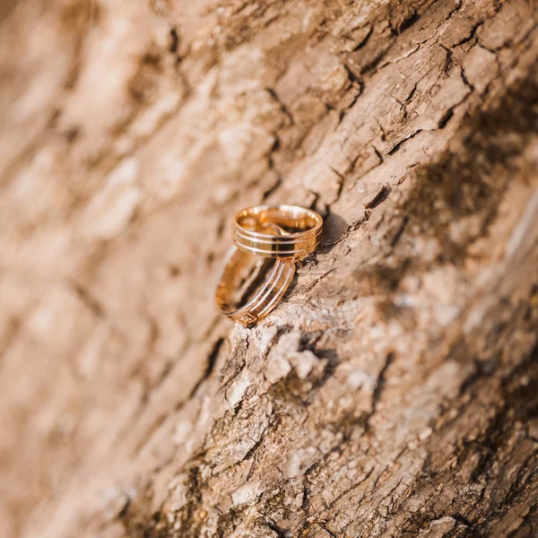 Fedi nuziali su legno — Foto Stock