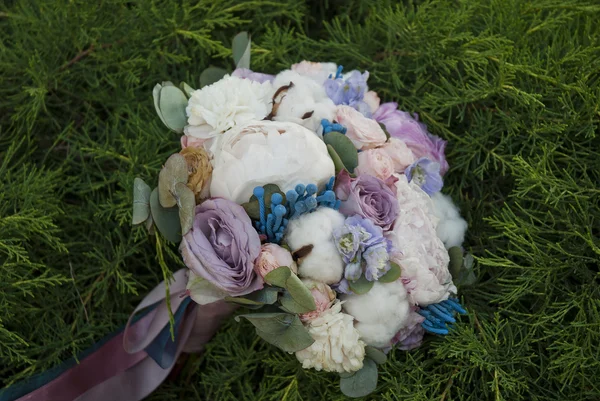 एक हरे शाखाओं पर पड़े सफेद और नीले फूलों का सुंदर गुच्छ — स्टॉक फ़ोटो, इमेज