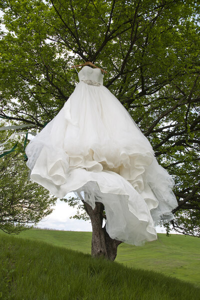 The wedding white dress hangs on a tree