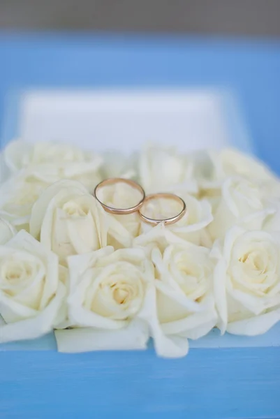 Свадебные золотые кольца с белыми розами в подарочной коробке — стоковое фото