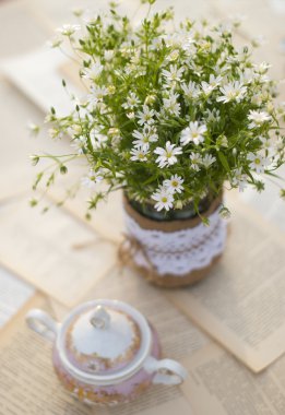 Masada kır çiçekleri