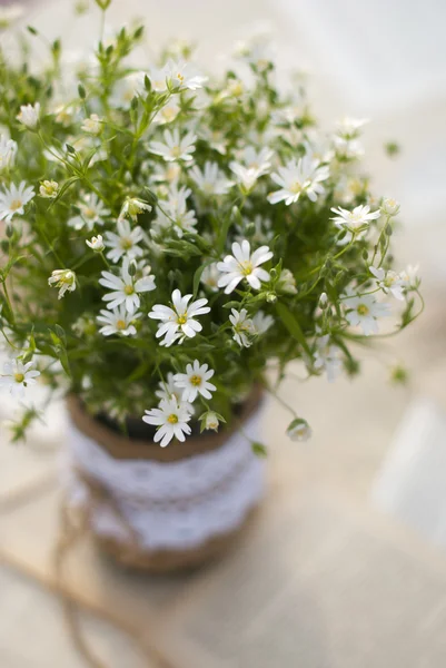 Wildflowers on the table — Stock Photo, Image