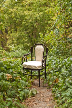 sonbahar parkta Vintage sandalye