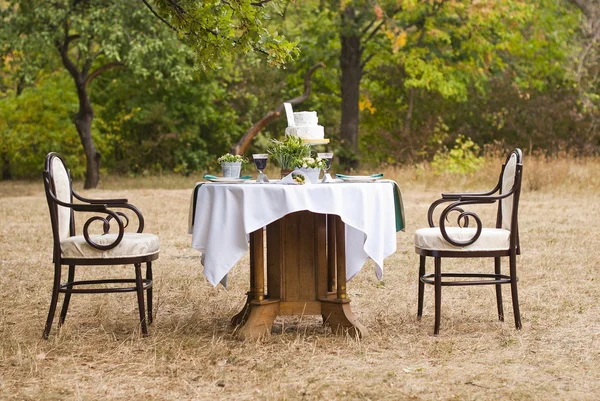 Bröllop tabellen arrangemanget i höst park — Stockfoto