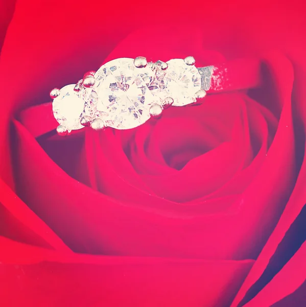 Diament ring w czerwona róża — Zdjęcie stockowe