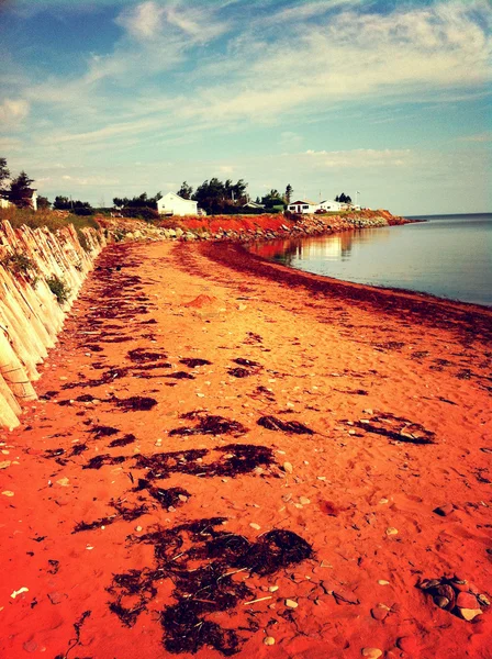 Hermosa playa — Foto de Stock