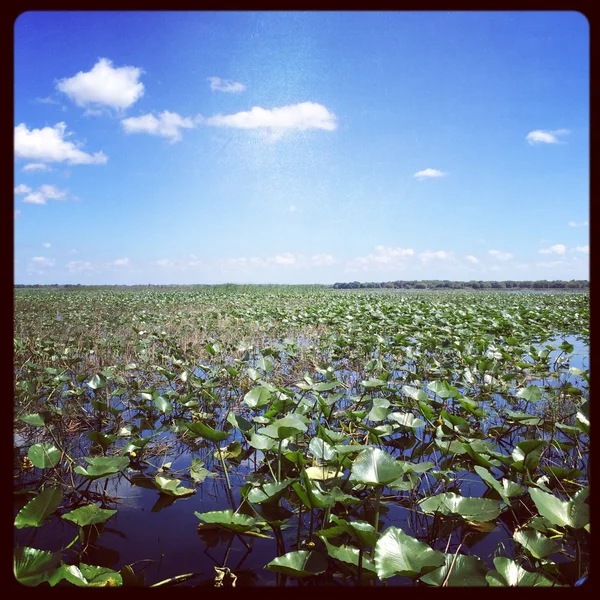 Vista sobre el lago — Foto de Stock