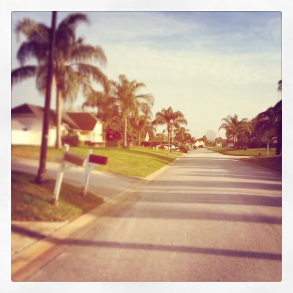 Vista a la calle con árboles y carretera — Foto de Stock