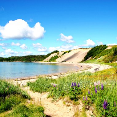 kırsal newfoundland kumlu plaj