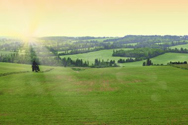 Yaz aylarında tepeler