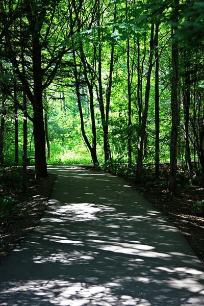 Straße im Wald — Stockfoto