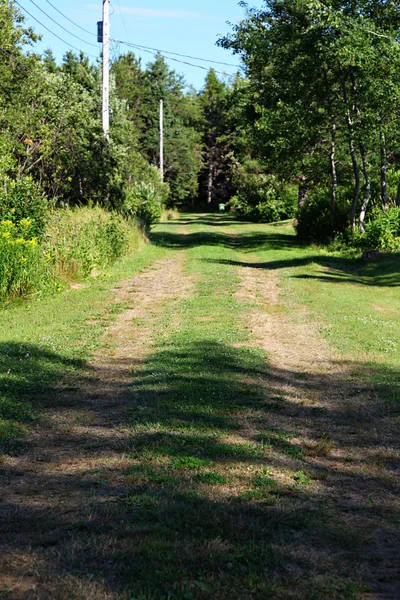 Pfad im Gras mit Reifenspuren — Stockfoto