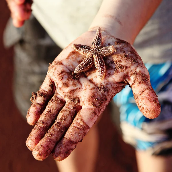 Морские звезды в руке — стоковое фото