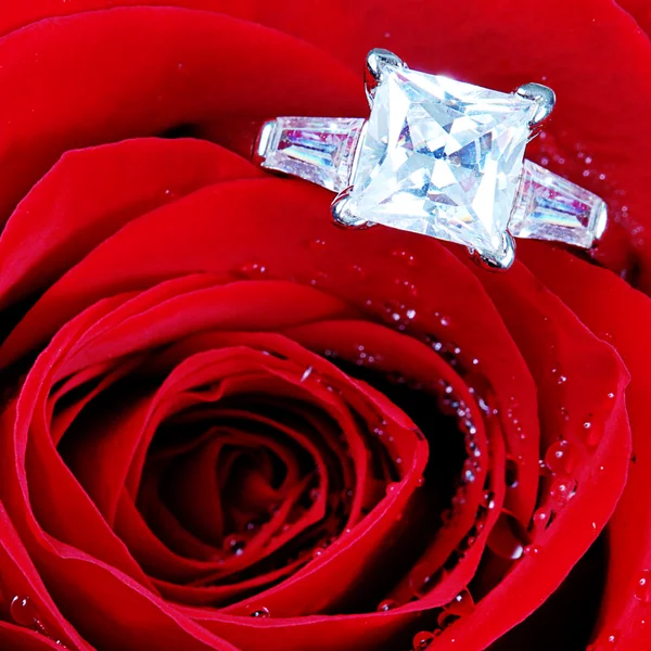 Diamantring in roter Rose — Stockfoto