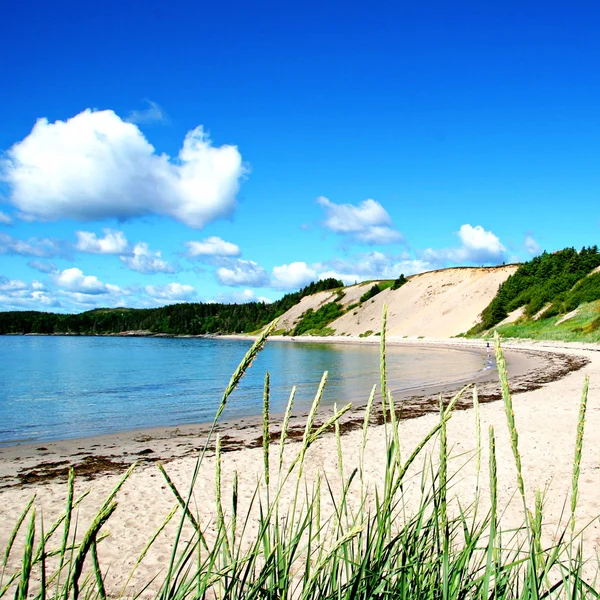 Piaszczysta plaża w wiejskich Nowej Fundlandii — Zdjęcie stockowe