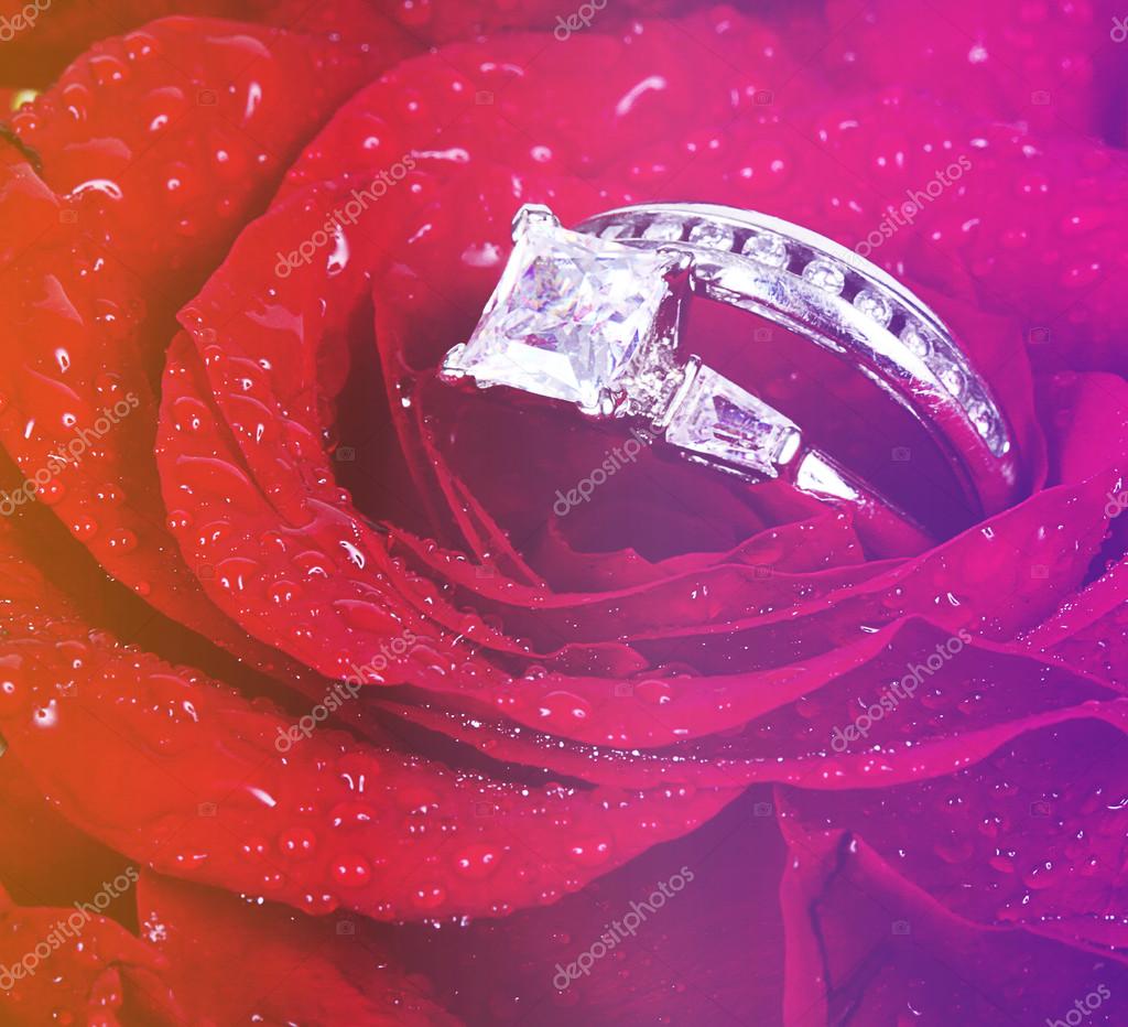 White Rose and diamond ring nestled inside Stock Photo | Adobe Stock
