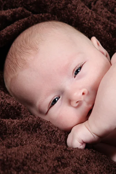 Little newborn baby girl — Stock Photo, Image