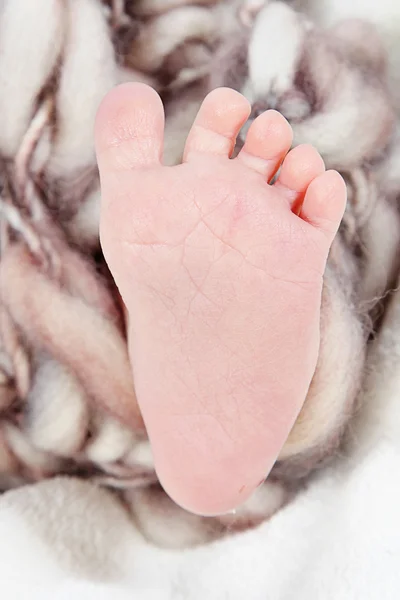 Newborn Baby foot — Stock Photo, Image