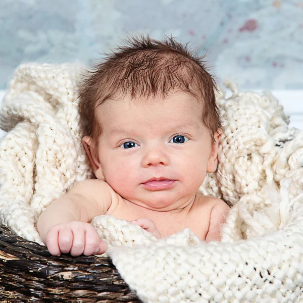 Schattige kleine pasgeboren baby in mand — Stockfoto