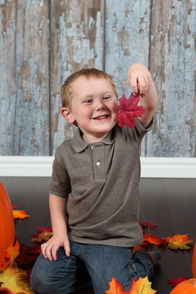 秋の紅葉とカボチャの小さな男の子 — ストック写真