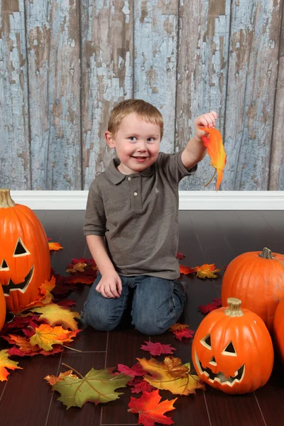 Little boy with autumn leaves and pumpkins — Stock Photo, Image