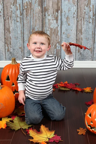 Little boy with autumn leaves and pumpkins — Stock Photo, Image