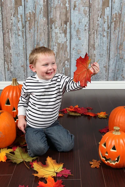 Little boy with autumn leaves and pumpkins — Stock Photo, Image